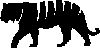 Tiger icon